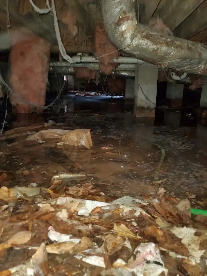 Crawl space flood assessment for Leak Detection & Repair in San Francisco